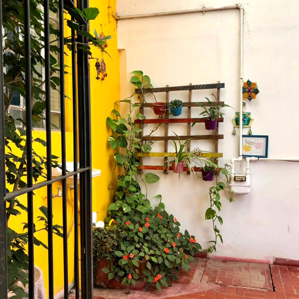 Consultorio 4 El Espejo