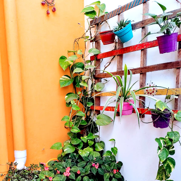 Detalles decorativos El Espejo